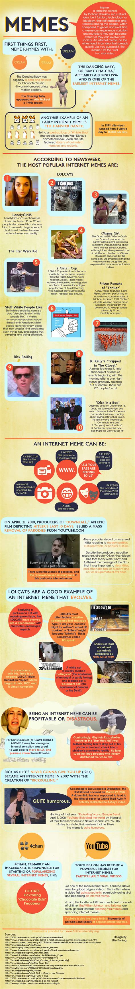 A Guide To Internet Memes Only Infographic