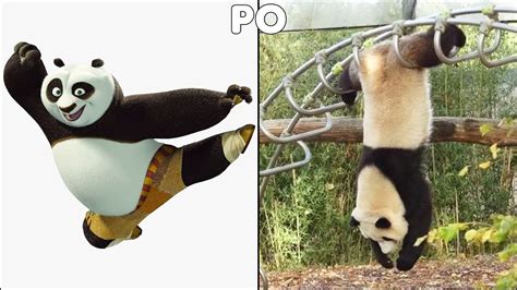 Kung Fu Panda Characters In Real Life Youtube