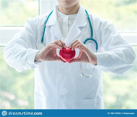 Cardiovascular Disease Doctor Or Cardiologist Holding Red Heart In
