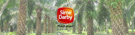 Grows aquilaria trees in johor, malaysia. Working at Sime Darby Plantation Berhad company profile ...