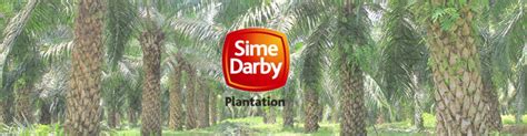 Sime darby berhad menjalankan pelbagai perniagaan seperti industri perladangan, hartanah, industri, automotif, tenaga ia mempunyai beberapa anak syarikat yang menguruskan pelbagai perniagaan seperti sime darby property, sime darby plantation, sime darby indsutrial dan banyak lagi. Working at Sime Darby Plantation Berhad company profile ...