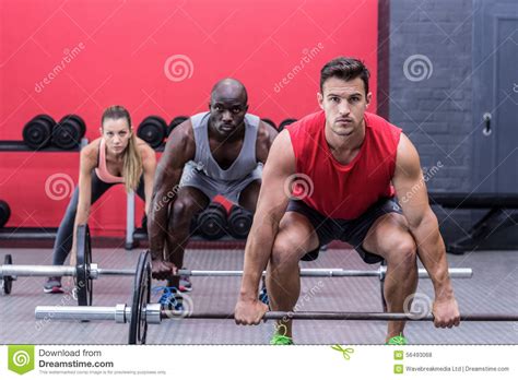 Three Muscular Athletes Lifting Barbells Stock Photo Image Of