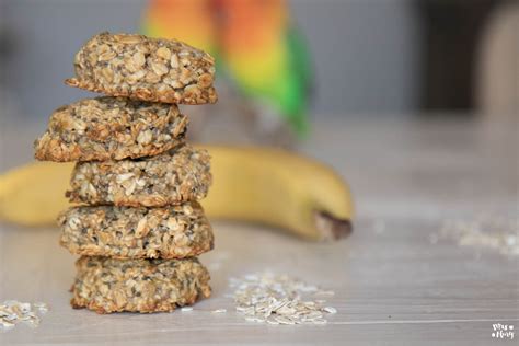 Gesunde Haferflocken Cookies vegan zuckerfrei