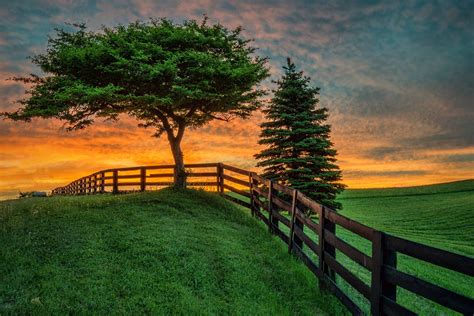 Summer Fence Tree Sunset Field Landscape Wallpapers Hd Desktop