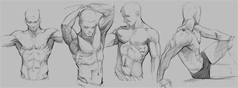 Some Sketches Done To Help Keep Improving On Anatomy And Gestures