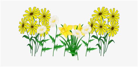 Wildflower Clipart Yellow Daisy Flowers Cartoon Png Transparent