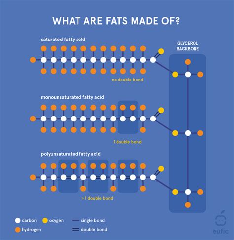 Facts About Fats Pretee