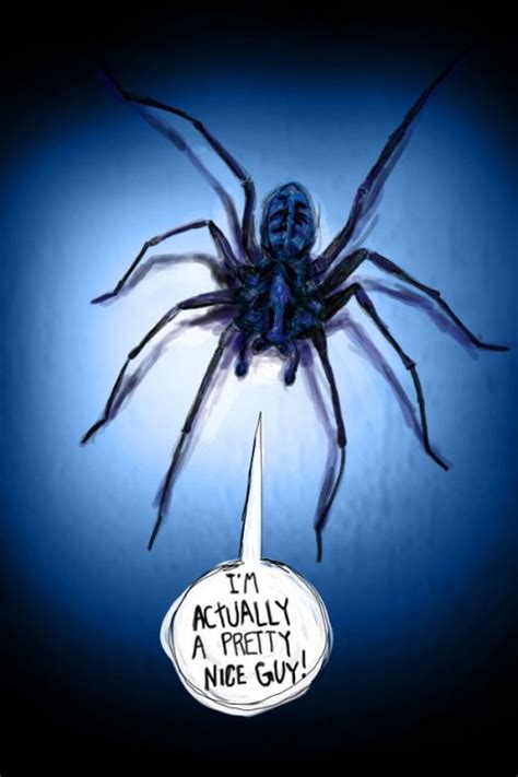 Scary Spider Is Just Misunderstood Spiders Scary Spider Scary