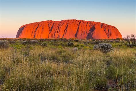 18 Day Highlights of Australia Tour | ANZ Nature Tours