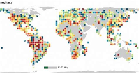 Global Genetic Diversity Mapped By New Study
