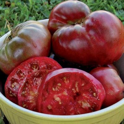 Many people the actual mistake of let's assume that they could produce a nice garden simply by. Black Krim Tomato Seeds (Organic) | Planet Natural