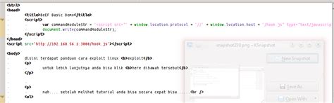 Blackhole exploit kit is yet another in an ongoing wave of attack toolkits flooding the underground market. DUMMIES HACKED