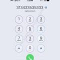 Count Number of 3s On Phone Screen Picture Puzzle