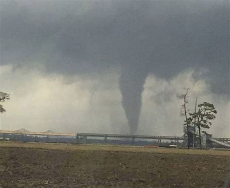 Tornado Hits New Orleans In Pictures Daily Star