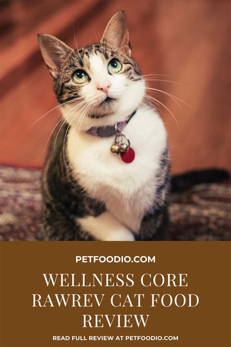 The first five ingredients are a good indication of the quality of cat food. Wellness Core RawRev Cat Food: Revved Up Raw! - PetFoodio ...