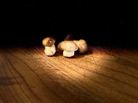 Automne émoi Noix de veau à la crème Poêlée de cèpes et de