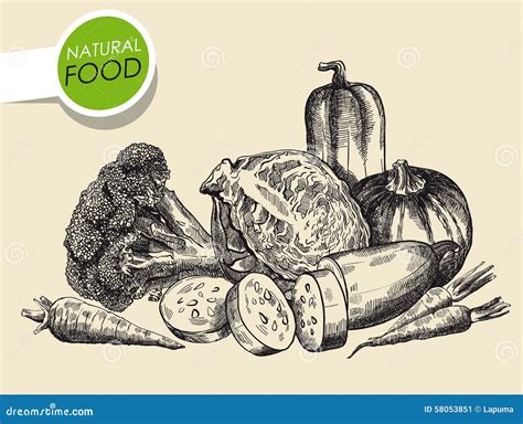 Still Life Of Vegetables Stock Vector Illustration Of Gourmet 58053851