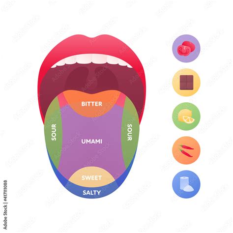 Taste Scheme Concept Vector Flat Modern Color Illustration Tongue