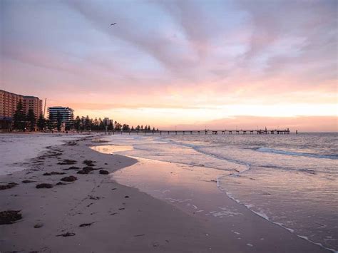 The Best Adelaide Beaches The Green Adventurers