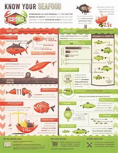Know Your Ocean Infographic Sustainable Seafood Seafood Infographic