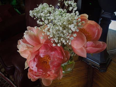 Check spelling or type a new query. PEONIES FROM TRADER JOES