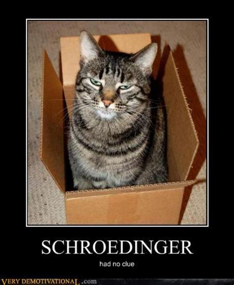 [image 344702] schrodinger s cat know your meme
