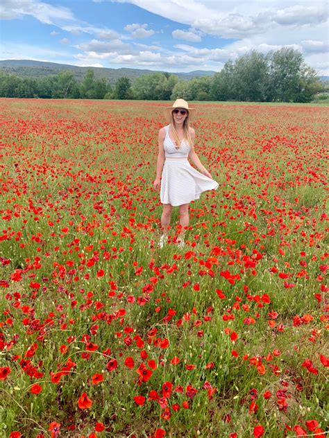 48 Hours In Provence France Discovering Poppy Fields Wine And Village