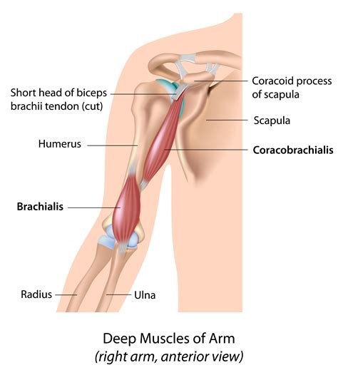 Have pain when you rub your back? Try the back rub test