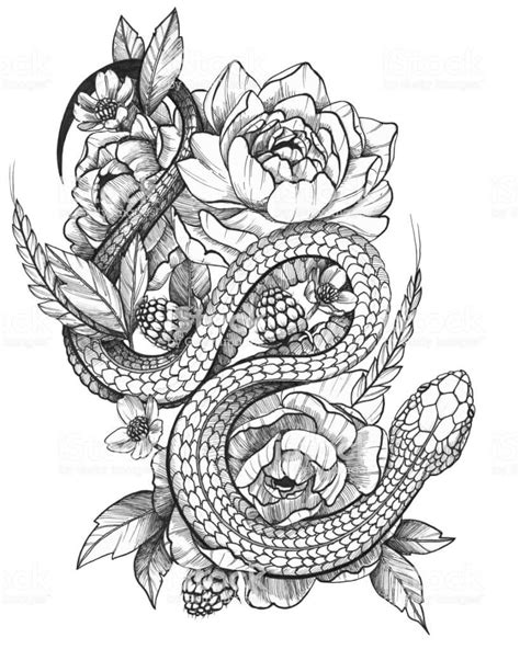 Drawing Simple Snake And Rose Tattoo Nataliehe