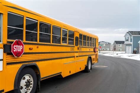 Why Are School Buses Yellow — School Bus Driver Jobs Mn Salary