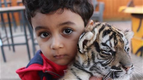Save Animals Save Humanity 