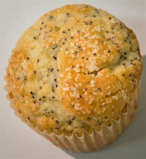 This Viral Photo Of Ticks On A Poppy Seed Muffin Will Scar You Poppy