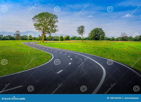 Empty Curved Road On Green Grass With Tree Stock Photo Image Of