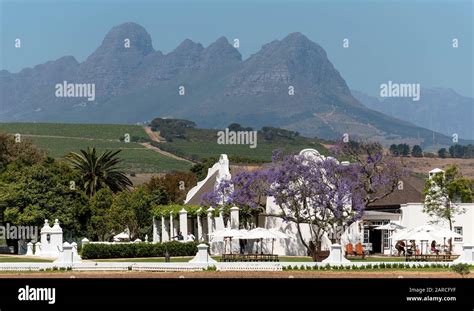 Faure Stellenbosch Western Cape South Africa The Homestead Of The