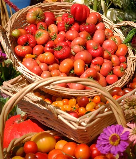 Here are the four categories offered by experts carlyn male and craig lehouillier: Heirloom Tomatoes | Food, Yummy food, Heirloom tomatoes