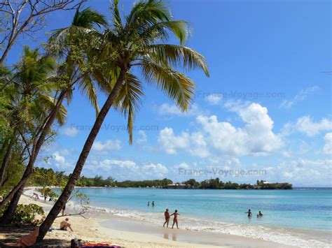 Kentucky prosecutor won't seek charges in guard shooting of cook. Foto's - Landschappen van Martinique - 89 afbeeldingen met ...