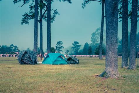 Premium Photo Camping Tent With The Pine Trees At Phukradueng