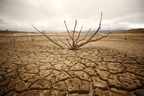 Sa Declares Cape Town Drought A ‘national Disaster The Financial Express