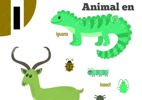 Animal En I Animal Commençant Par I Informations