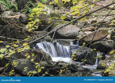 Small Cascade On Myrtle Creek Stock Image Image Of Outdoor Natural