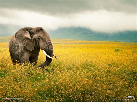 Landscape National Geographic Desktop Wallpaper Popular Century