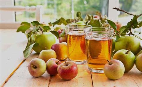 Complete Apple Juice Processing Line For Juice Making