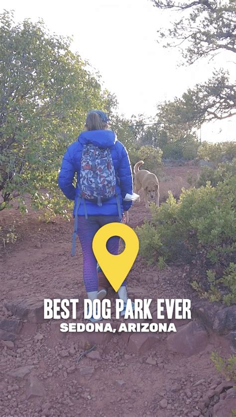 Best Dog Park Ever — Philippe Lazaro