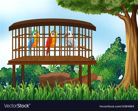 Three Parrot Birds In Wooden Cage Royalty Free Vector Image