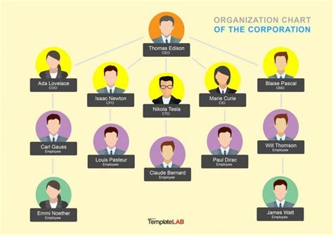 Download Organization Chart Template 7 Organizational Chart