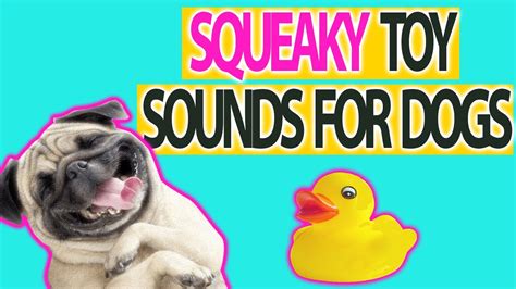 Squeaky Toy Sound Effects For Dogs Make Your Dog Go Crazy Hd Sound