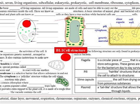 Gcse Biology B1 Cell Levels System Revision Teaching Resources