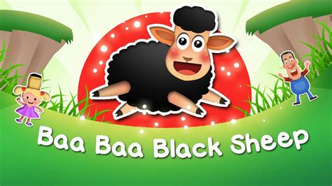 Baa Baa Black Sheep Song Nursery Rhymes Tv Music 4k Video Youtube