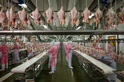 Between 1957 and 2005, the according to the imd competitiveness index, the malaysian economy was the 14th most competitive market in the world and fifth among countries with. New Hope: Investment in poultry facility