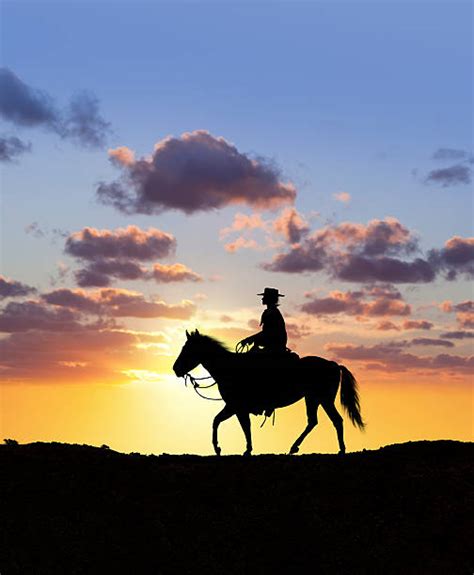 Top 60 Cowboy Sunset Stock Photos Pictures And Images Istock